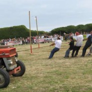 25 – 26 juillet 2009 4ème fête des vieux tracteurs à la pointe Saint Mathieu – 17 –