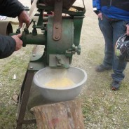 Les 100 ans de l’agriculture à Plouarzel